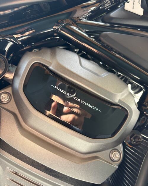 Foto: Harley Davidson 975 S NIGHTSTER SPECIAL