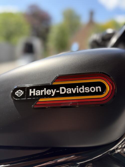 Foto: Harley Davidson 975 S NIGHTSTER SPECIAL